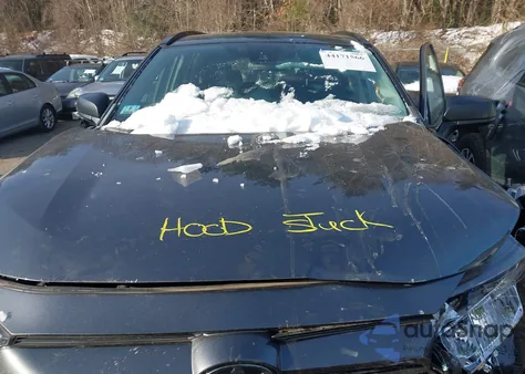 2019 Toyota Rav4 Le z USA, uszkodzony, nr VIN 2T3F1RFV4KC039849